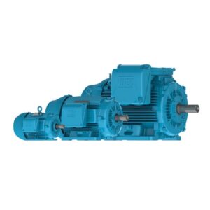 Norma NEMA L.I W22 Carcasa de Hierro Gris High Efficiency
