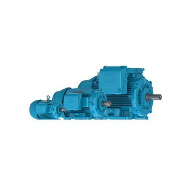 Norma NEMA L.I W22 Carcasa de Hierro Gris - NEMA Premium Efficiency