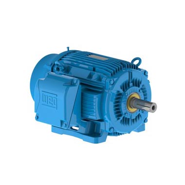 Norma NEMA L.I W22 IEEE 841 Carcasa de Hierro Gris - NEMA Premium Efficiency