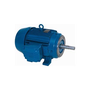 L.I Bomba Monobloc JM - W21 - Standard Efficiency - IE1