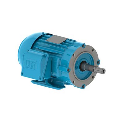 L.I Bomba Monobloc JP - W22 - Standard Efficiency - IE1